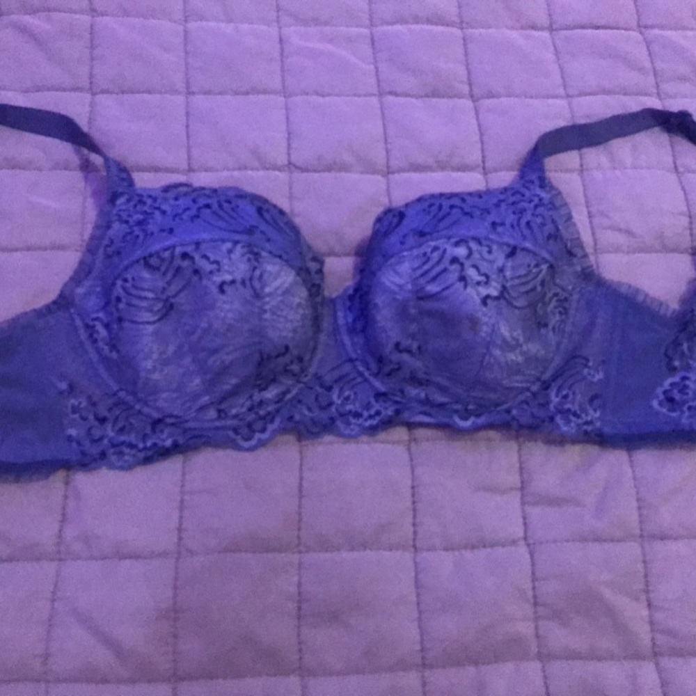 Pleasure state brand bra